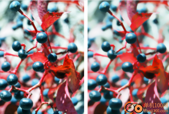 Corel Painter 2023中文版(数字绘画软件)