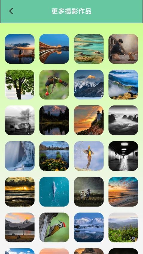 爱贴纸大作战最新版v1.1(1)