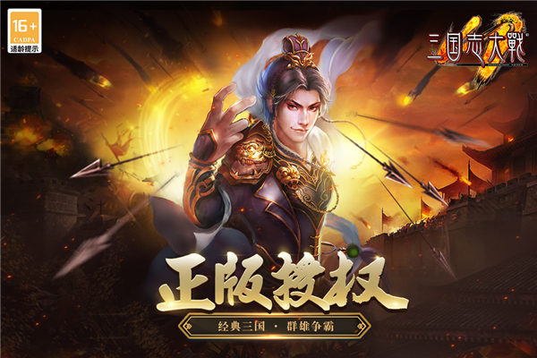 三国志大战游戏