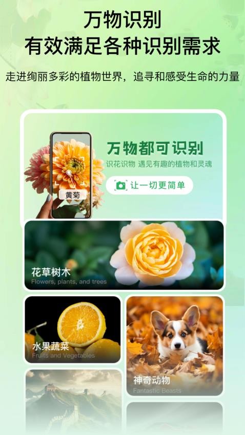 花卉識別圖鑒軟件v3.1 4