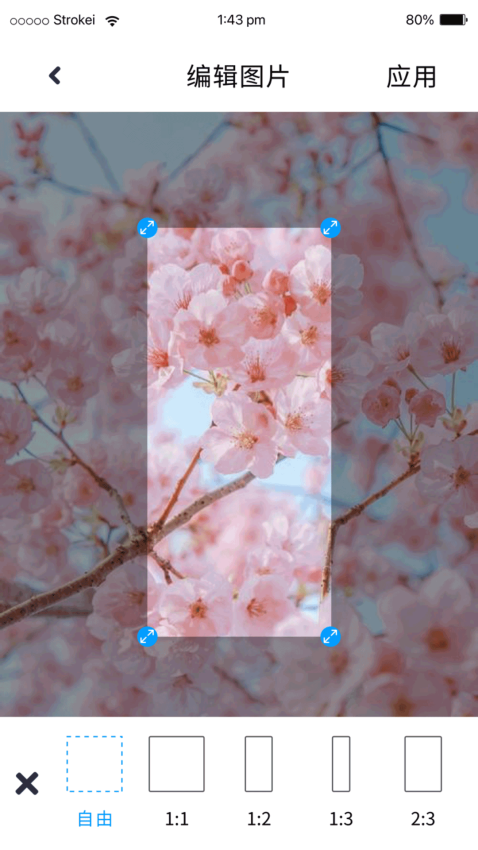 P图照片处理appv5.0(1)
