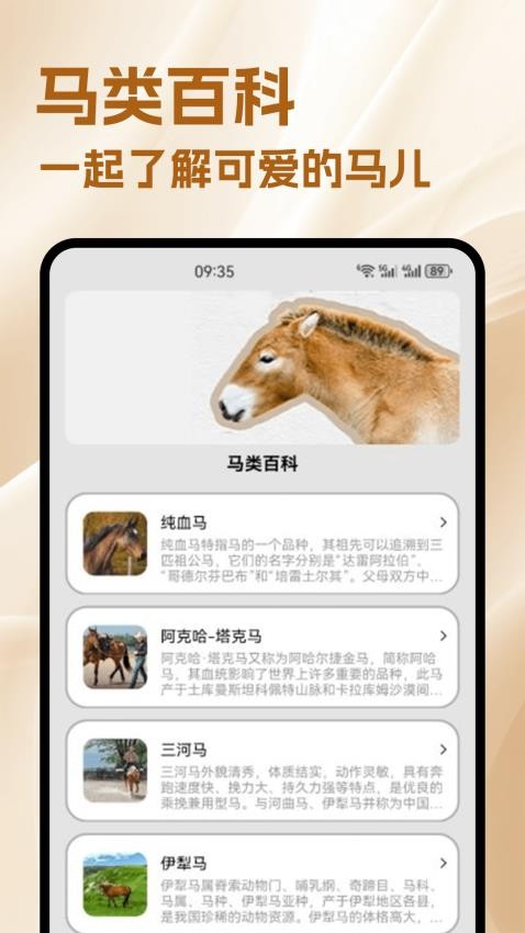 小马游戏世界免费版v1.5(4)