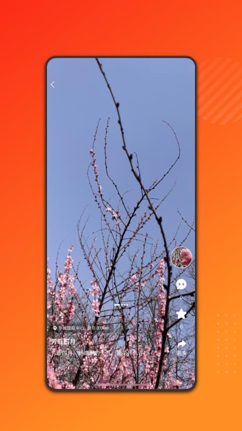 实体秀官网版v1.0.0(4)
