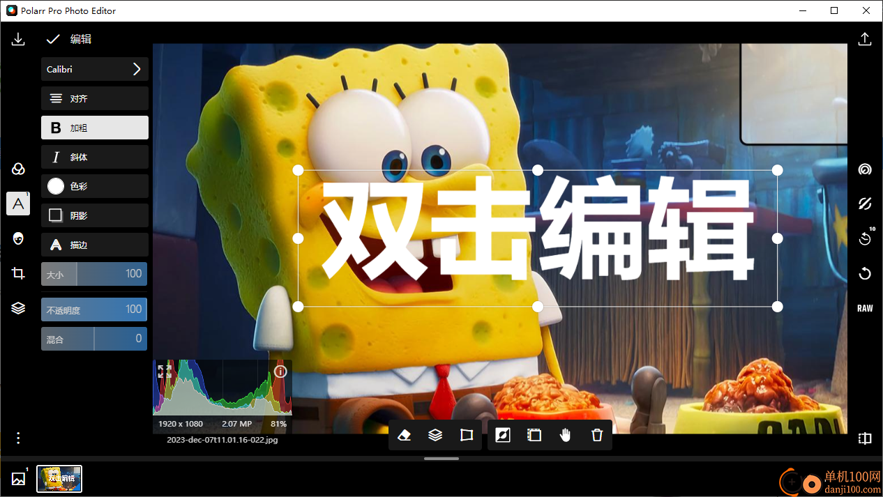 Polarr Photo Editor Pro(潑辣修圖)