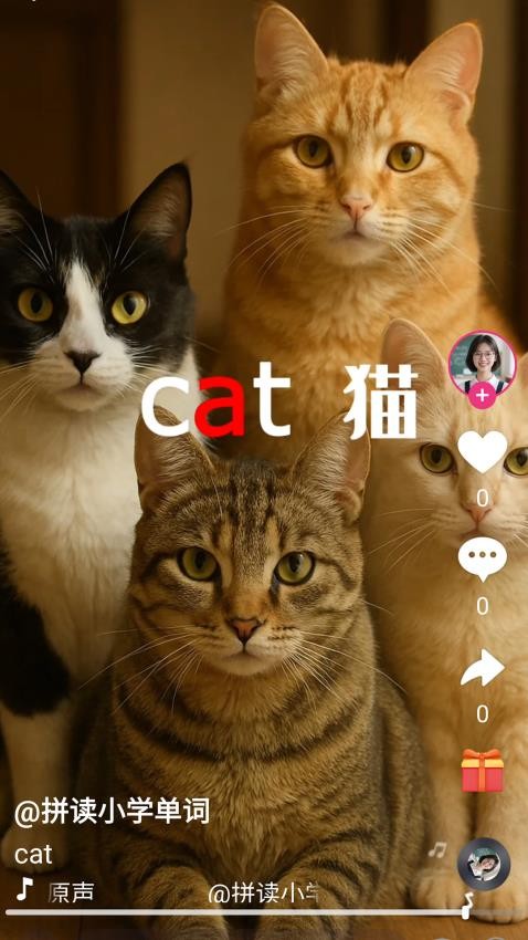 刷单词免费版v1.0.1(5)