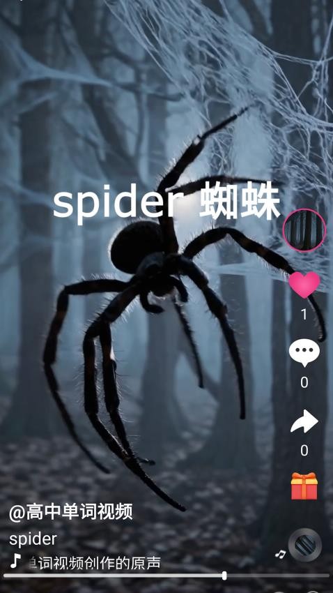 刷单词免费版v1.0.1(3)