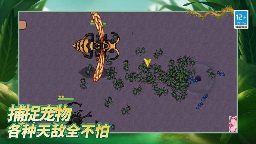 島上我最溜游戲v1.0.0 3