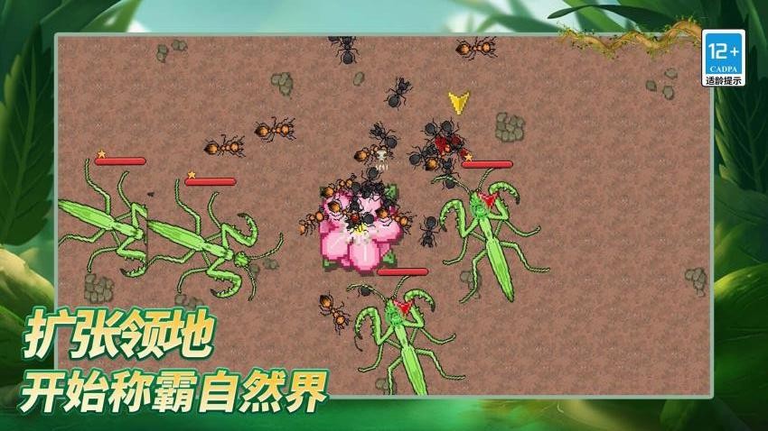 島上我最溜游戲