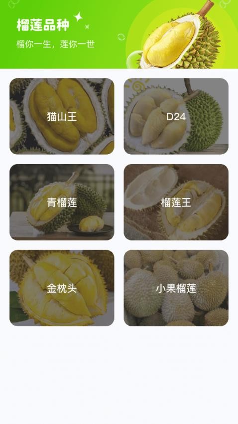 榴莲大亨最新版v1.0.3.020255191820(3)