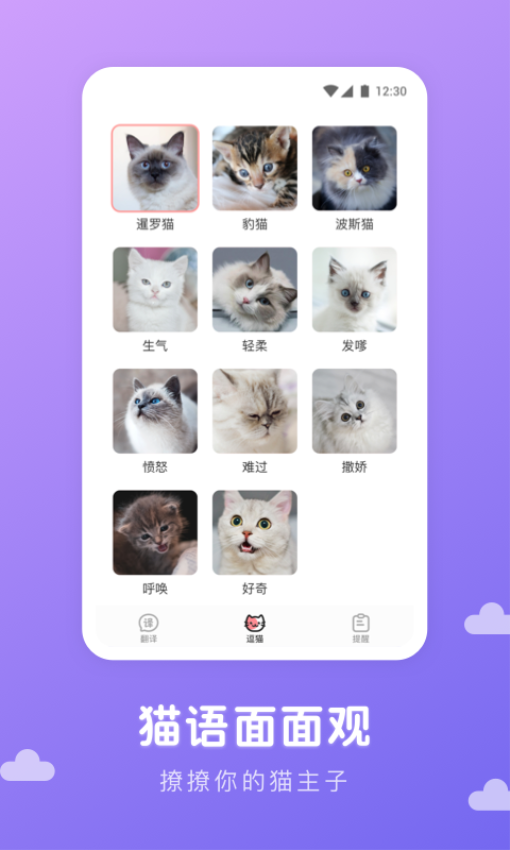 猫语翻译君appv1.0.9 3