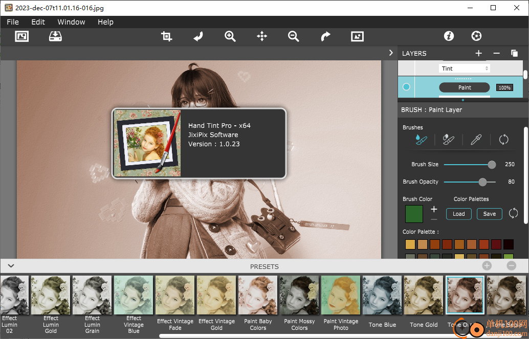 jixipix Hand Tint Pro(图像调色工具)