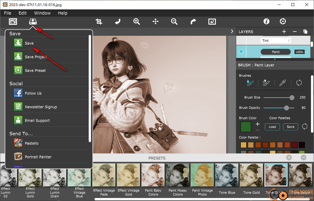 jixipix Hand Tint Pro(图像调色工具)