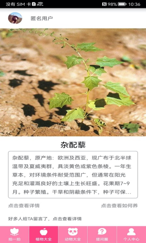 拍照识物Appappv3.2.3 4