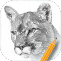 素描绘画入门教程app v2.1.3