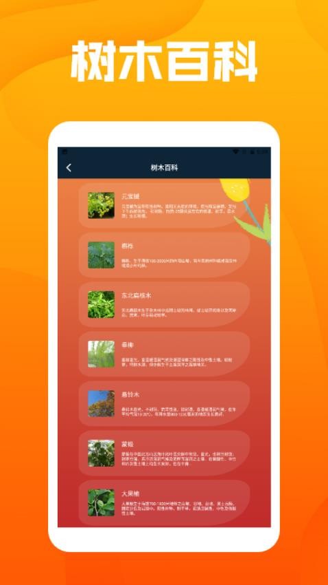 花朵物语pro免费版v1.3(2)