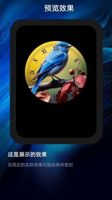 手表大師官網(wǎng)版v1.1 4