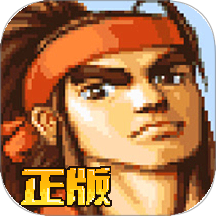 三國戰(zhàn)紀手游