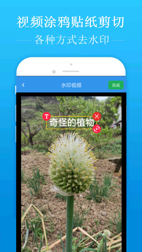 去水印吧appv2.1.9 4