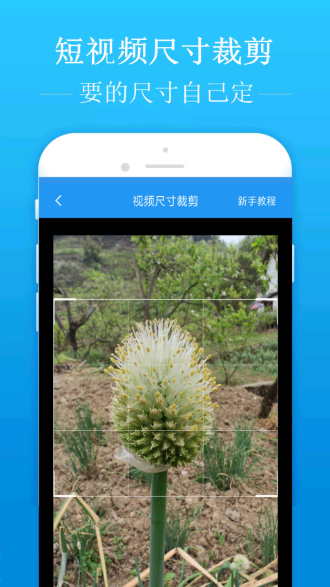 去水印吧appv2.1.9 3