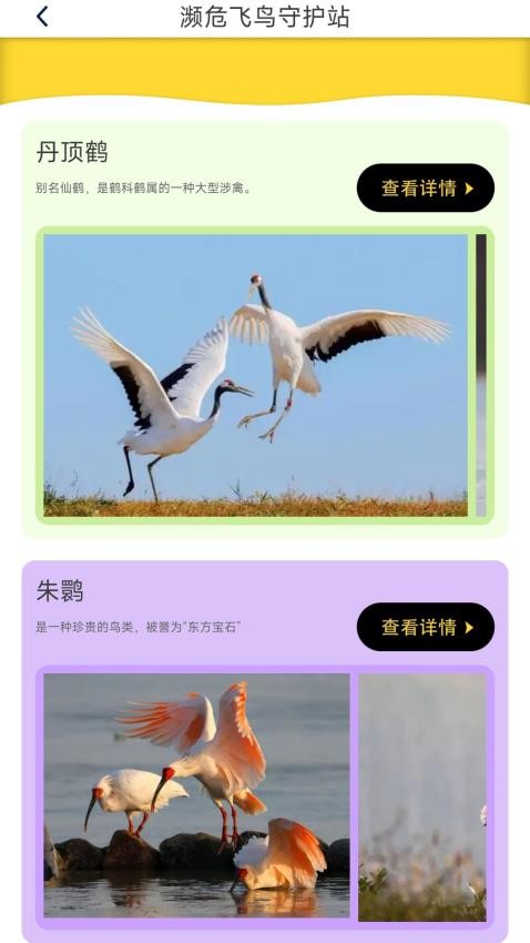 鸟语星球客户端v0.1.0.2 3