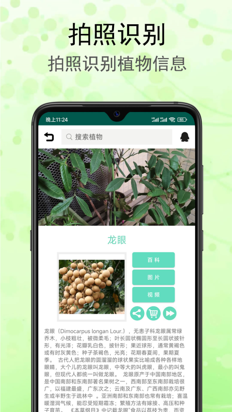 识花草app