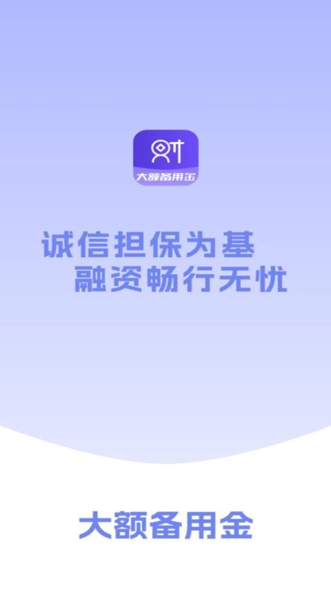 大额备用金官方版v1.00.01 3