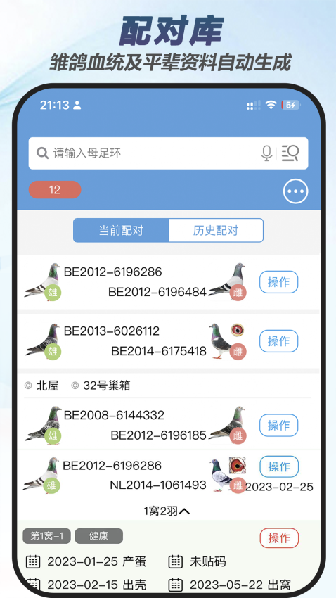赛鸽云鸽舍管理系统v9.3.1 5