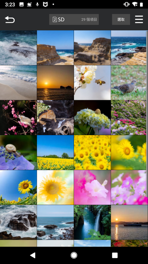 LUMIX Sync安卓版v2.0.13 1