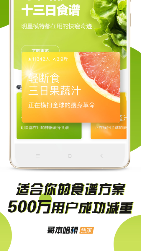 哥本哈根减肥食谱appv6.9.1 4