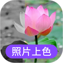 ai黑白照片上色软件 v24.7.26