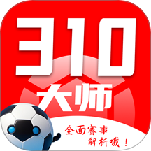 310大师官网版