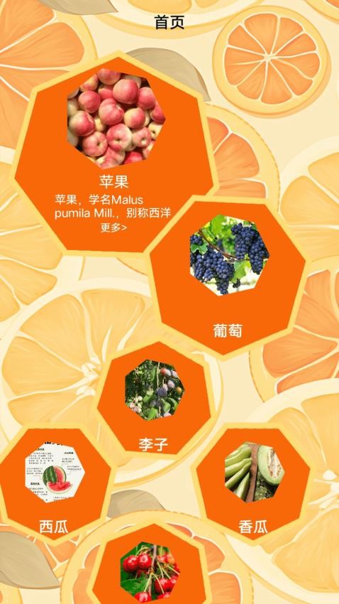 柚子快报告手机版v1.1(1)