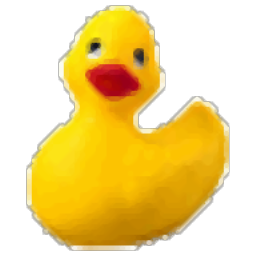 Rubber Ducky(橡皮鸭)