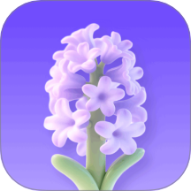 风信子花官网版 v1.0.1