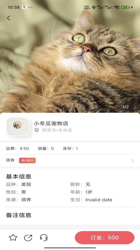 萌宠行星免费版
