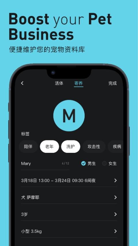 Pilton客户端v1.0.4 1