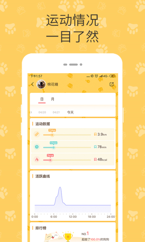 陪彼宠物v2.0.250604 4