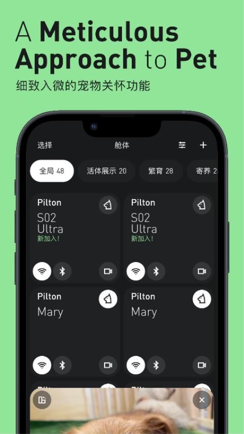 Pilton客户端v1.0.4 4