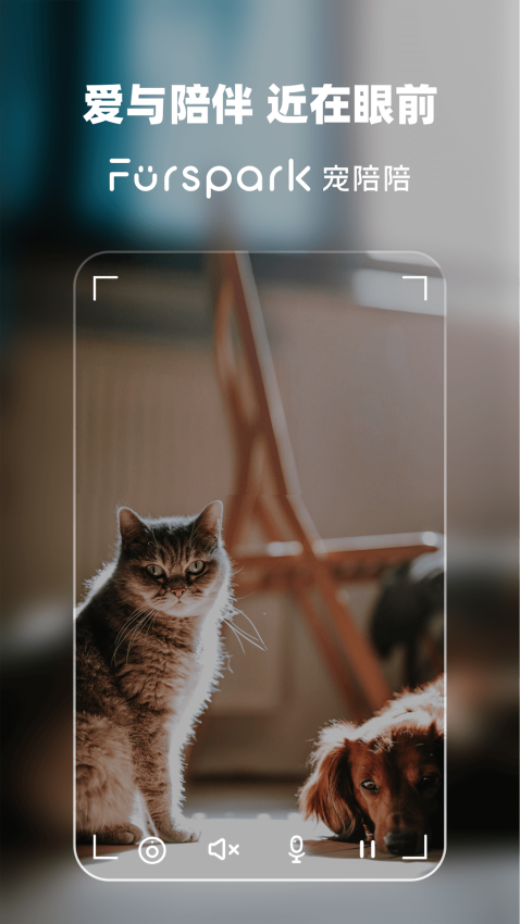 furspark宠陪陪喂食器软件v1.1.4.0513 2