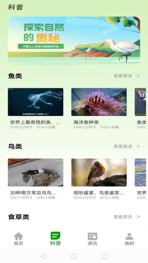 动物世界大全免费版v1.0.1 3