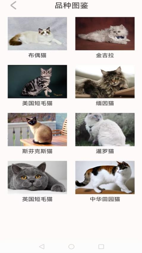 动物世界大全免费版v1.0.1 1