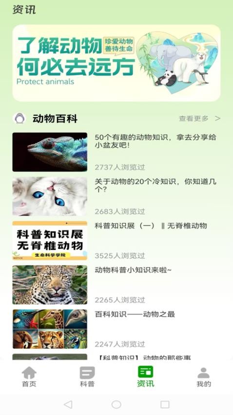 动物世界大全免费版