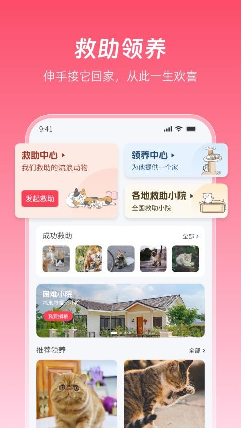 老疯杨手机版