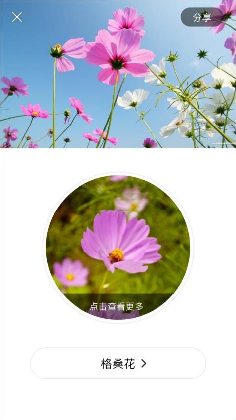 识花大师免费版v1.3.8 2
