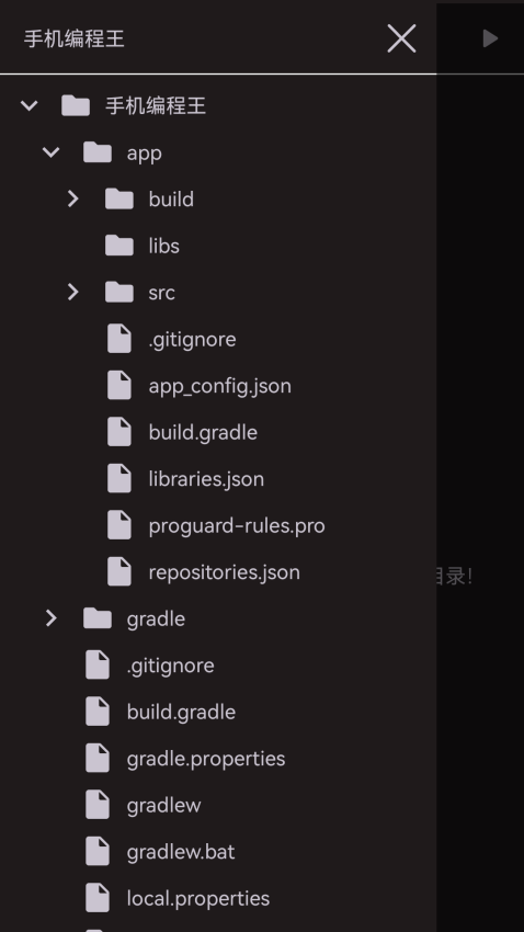 AIDE编译器appv1.0.5 4