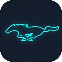 福特电马DVR apk v1.1.4