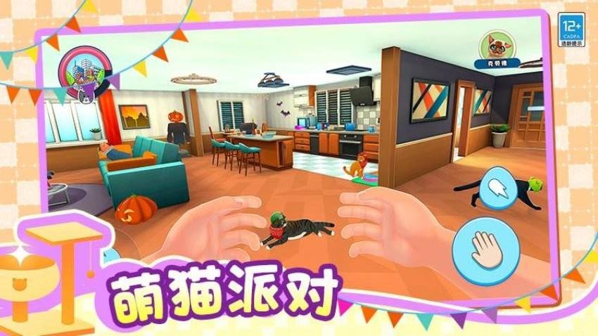 小小猫之家游戏v1.0.1 3