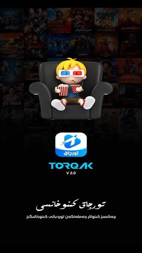 Torqak软件(1)