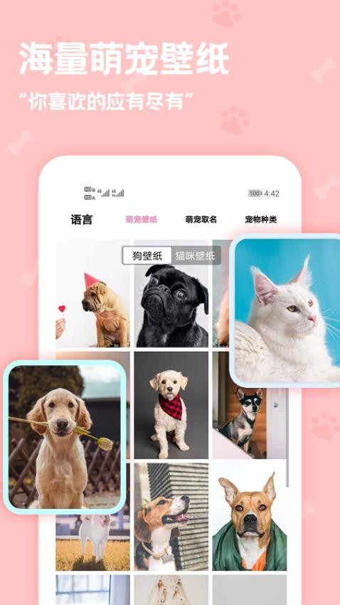 动物语言翻译器app(5)