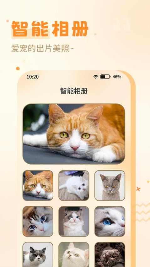 喵人猫语最新版v1.0.3(4)